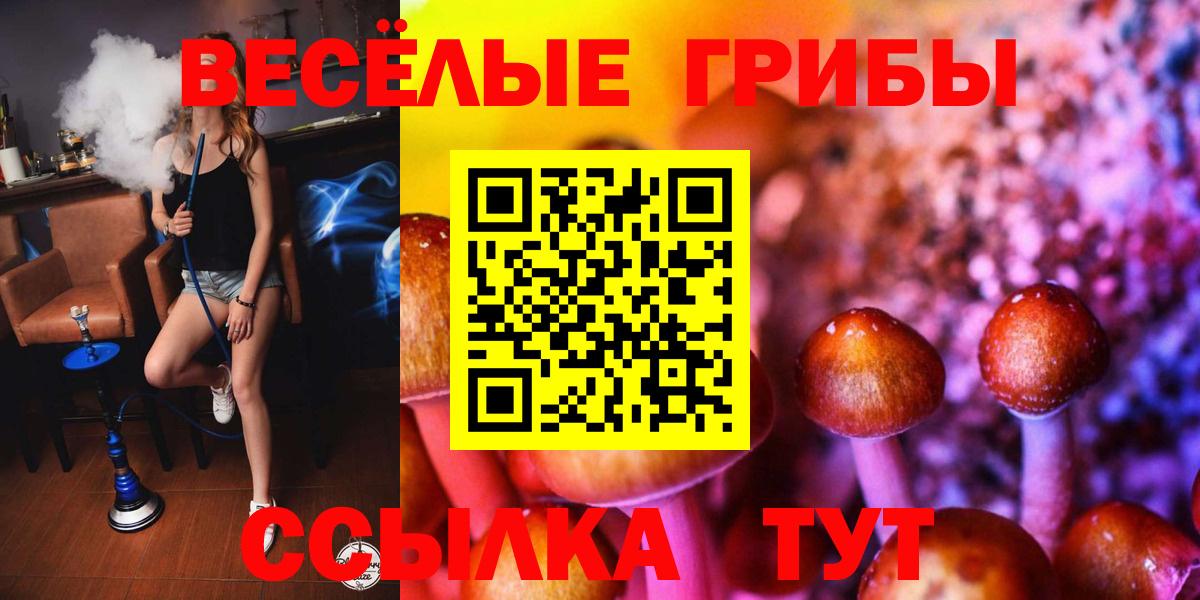 Псилоцибиновые грибы мухоморы Саки